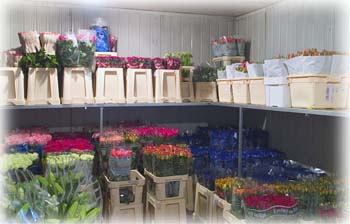 Magazzino-Fiori-1