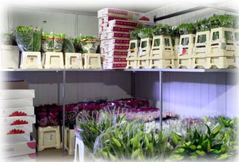 Magazzino-Fiori-2
