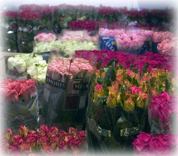 Magazzino-Fiori-3
